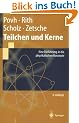 Teilchen und Kerne. Eine Einf�hrung in die physikalischen Konzepte