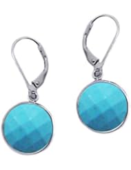 SS 12mm Faceted Turquoise Drop Earring