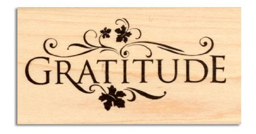 Inkadinkado Wood-Mounted Rubber Stamp Gratitude By The Each