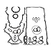 DNJ LGS3165 Lower Gasket Set/For 1997-2017/ Avanti, Buick, Cadillac, Chevrolet, GMC, Hummer, Isuzu, Pontiac, Saab/ 9-7x, Ascender, Avalanche, Camaro, Canyon, Caprice, Colorado/ 4.8L-6.2L V8 OHV