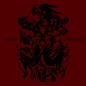 Dust Flesh and Bones