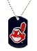 Cleveland Indians - MLB Enameled Logo Dog Tag Necklace