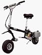 Patmont Motor Werks 216150001 Go-Ped Riot 29 - Black