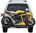 MTXS Hitch Mounted Sport Bike Carrier Rack