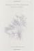 Watching Mother Disappear & Other Poems
