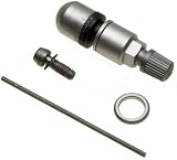 Schrader  20039 TPMS Service Pack Black Insert fits Audi BMW Hyundai Kia Mercedes Porsche VW (1-pack)