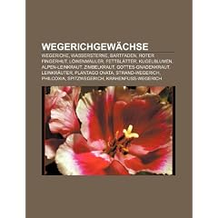 Wegerichgewachse: Wegeriche, Wassersterne, Bartfaden, Roter Fingerhut, Lowenmauler, Kugelblumen, Plantago Ovata, Leinkrauter