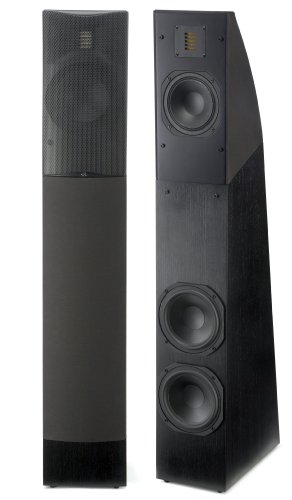 MartinLogan Motion 12 Floorstanding Speaker (Black Ash, each) MartinLogan Motion 12 Floorstanding Speaker (Black Ash, each)