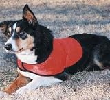 Glow in the Dark Orange Pet Reflective Vest - Large