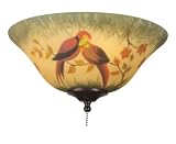 Fanimation F423OB Oil Rubbed Bronze Fitter w/G439 Handpainted Parrot Glass