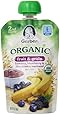 Gerber Organic 2nd Foods Pouches, Banana, Blueberry, Blackberry Oatmeal, 3.5 Ounce, 12 count