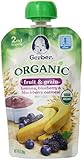 Gerber Organic 2nd Foods Pouches, Banana, Blueberry, Blackberry Oatmeal, 3.5 Ounce, 12 count