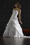 Brautkleid Hochzeitskleid mit Spitze 