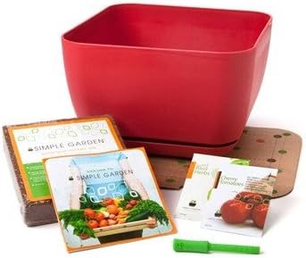 Simple Garden Square Planter Box Color: Red
