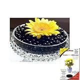 Crystal Soil USA(TM) Brand Premium Water Storing Accents Deco Gel Beads; BLACK 10g Pack