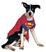 Search : Superman Pet Costume