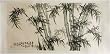 Chinese Sumi Art Brush Painting - Bamboo Grove, Light Green and Black - Watercolor Ink on Rice Paper
