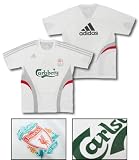 adidas 08/09 リバプール トレーニングシャツ (