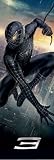 Spiderman 3 - Door Movie Poster (Black Suit / Venom)