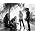 Thumbnail image of Alice In Chains