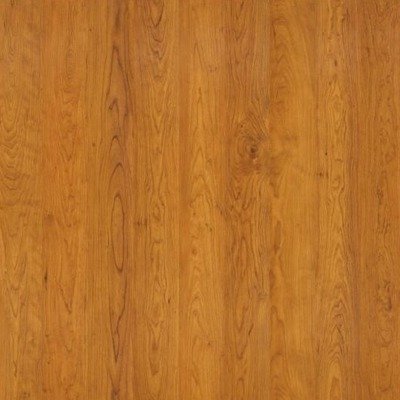 Salvador 8mm Mt Vernon Laminate Flooring