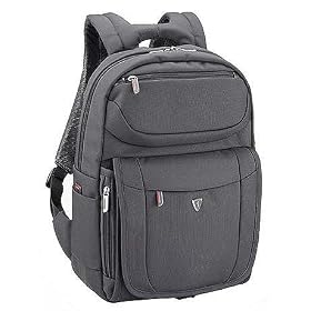 Sumdex Altitude Professional Laptop Backpack -15.4