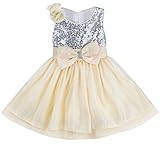 （イーエフイー）EFE ベビードレス　赤ん坊　キラキラ　スパンコール|3枚重ねドレス|蝶結び|花　結婚式/入園式/記念撮影　袖なし　膝丈　6色　60/65/70/75/80　3-24ヶ月　　 シャンパ