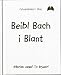 Beibl Bach I Blant (Lledr Gwyn)