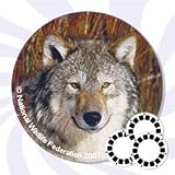 View-Master Animals of North America Look & Learn