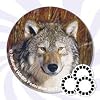 View-Master Animals of North America Look & Learn