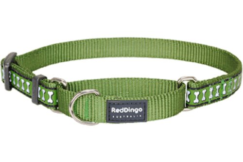 Red Dingo Reflective Martingale Dog Collar, Small, Green