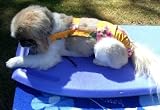Joybies Sunshine Yellow Aloha Piddle Pants(tm) for Large Female Dog (Measuring 17-19 From Collar to Base of Tail)
