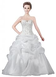 Applique Beaded Organza Corset   Waistline  Dress