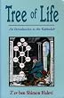 Tree of Life: Introduction to the Kabbalah: Introduction to the Kaballah