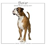Boxer Dog 2011 Wall Calendar #30454-11