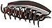 Caravan Large Conventional Hair Claw Covered Spring With Wave And Rounded Teeth In Tortoise Shell