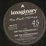 ARE YOU EXPERIENCED 12 INCH (12" SINGLE) UK IMAGINARY 1990