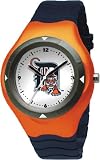 Detroit Tigers Prospect Watch