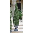 Topiary Cone Tree statue home garden sculpture New XL (The Digital Angel)