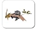Decorated Mouse Pad with the image of: tree, raccoon, striped, animal, tail