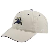 Pittsburgh Panthers Stone Tailgating Hat