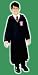Harry Potter Robe Costume Boy - Child Large 12-14 for 8-10 years