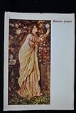 Burne-Jones : [catalogue of an exhibition held at the] Mappin Art Gallery, Weston Park, Sheffield, from 23rd October to 28th November 1971