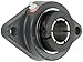 Browning VF2B-220 Normal-Duty Flange Unit, 2 Bolt, BOA Concentric Lock, Regreasable, Contact and Flinger Seal, Cast Iron, Inch, 1-1/4" Bore, 5-1/8" Bolt Hole Spacing Width, 6-1/8" Overall Width