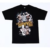 WWE SmackDown vs. Raw 2011