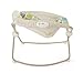 Fisher-Price Newborn Rock 'N Play Sleeper, Rainforest Friends