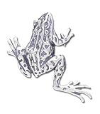 Frog Solid Sterling Silver Pin