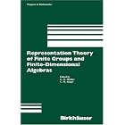 Representation Theory of Finite Groups and Finite-Dimensional Algebras (Progress in... by Michler and Ringel
