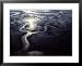 Aerial view of the salt marshes surrounding the lower Savannah River Framed Art Poster Print by Annie Griffiths Belt, 31x25