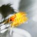 NEROTUNES.com - Empfehlungen